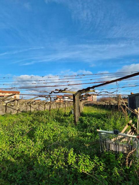 Venta - Cambados - Ref: S3