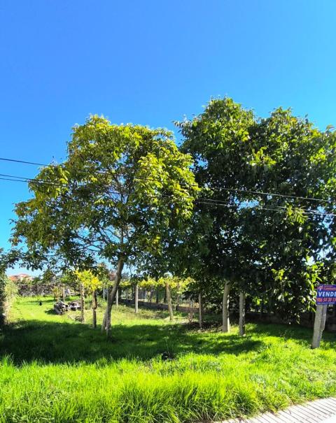 Venta - Cambados - Ref: S6
